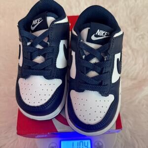 Nike Dunks 6C